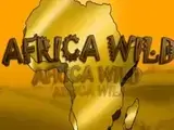 Africa Wild — automat zadarmo