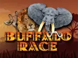 Buffalo Race — automat zadarmo