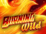 Burning Wild — automat zadarmo