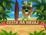 Cesta na Havaj — automat zadarmo