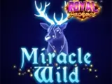 Miracle Wild — automat zadarmo