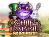 White Rabbit — automat zadarmo