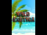 Wild Exotica — automat zadarmo