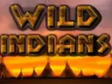 Automat Wild Indians od výrobcu MOD elektronik