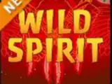 Wild Spirit — automat zadarmo