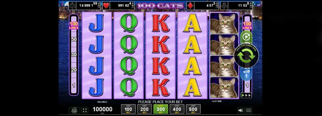 Úvodná obrazovka hry 100 Cats
