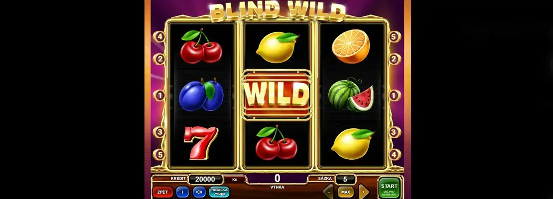 Úvodná obrazovka hry Blind Wild