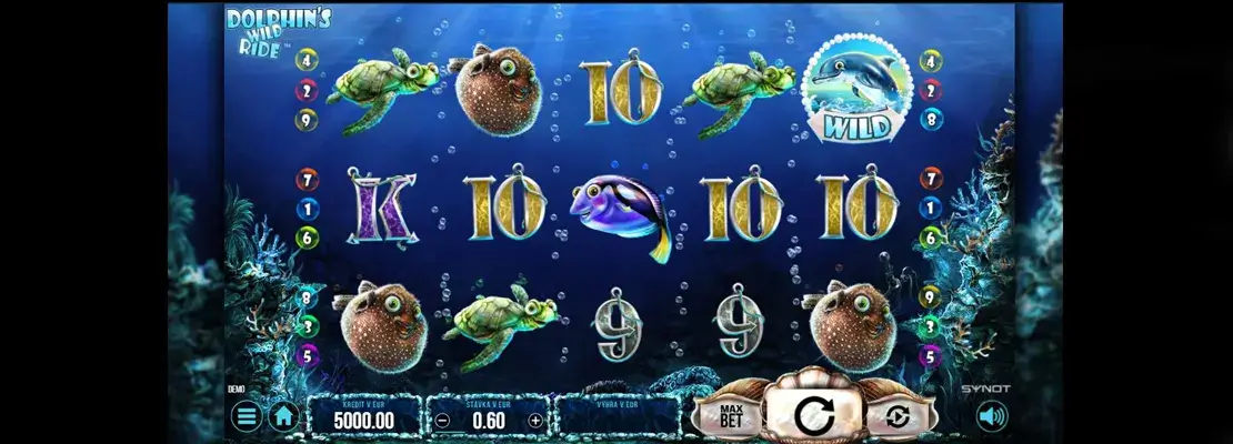 Úvodná obrazovka hry Dolphins Wild Ride