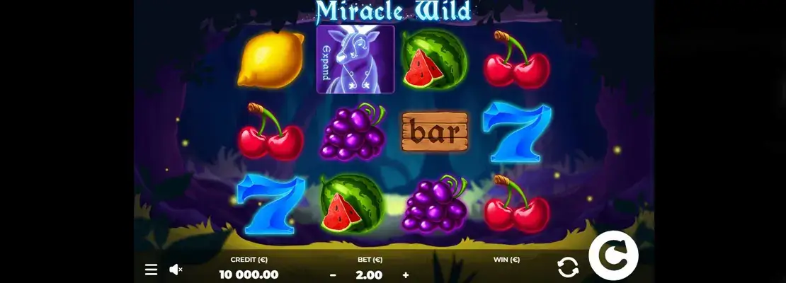 Úvodná obrazovka hry Miracle Wild